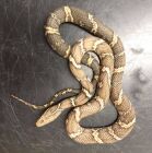 Russian ratsnakes breeding pair &pound;299